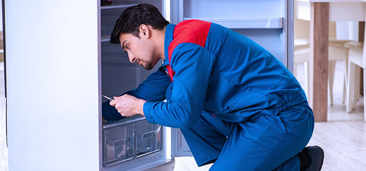 Avanti Freezer Repair Services in Jersey City, New Jersey